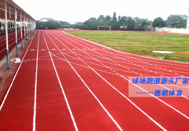 浙江透气型塑胶跑道