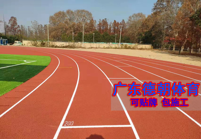 广东新国标塑胶跑道