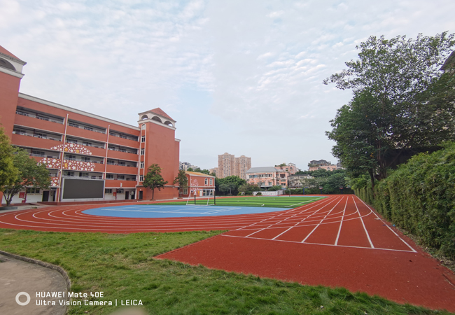 成都市青羊区东坡小学8mm500平方硅pu羽毛球场，2000平方透气型跑道，1500平方人造草足球草坪顺利完工！