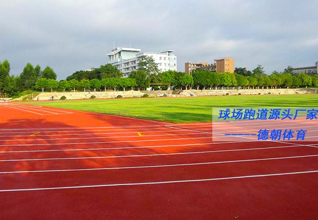 贵州新国标全塑型塑胶跑道